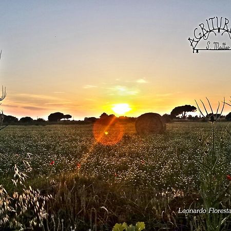 Agriturismo San Matteo Tarquinia Eksteriør billede