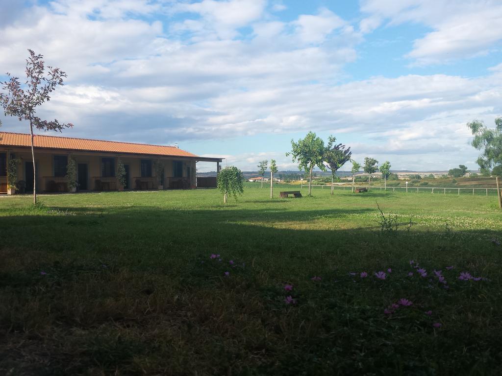 Agriturismo San Matteo Tarquinia Værelse billede