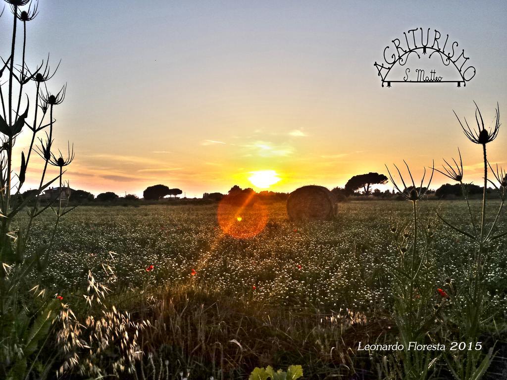 Agriturismo San Matteo Tarquinia Eksteriør billede