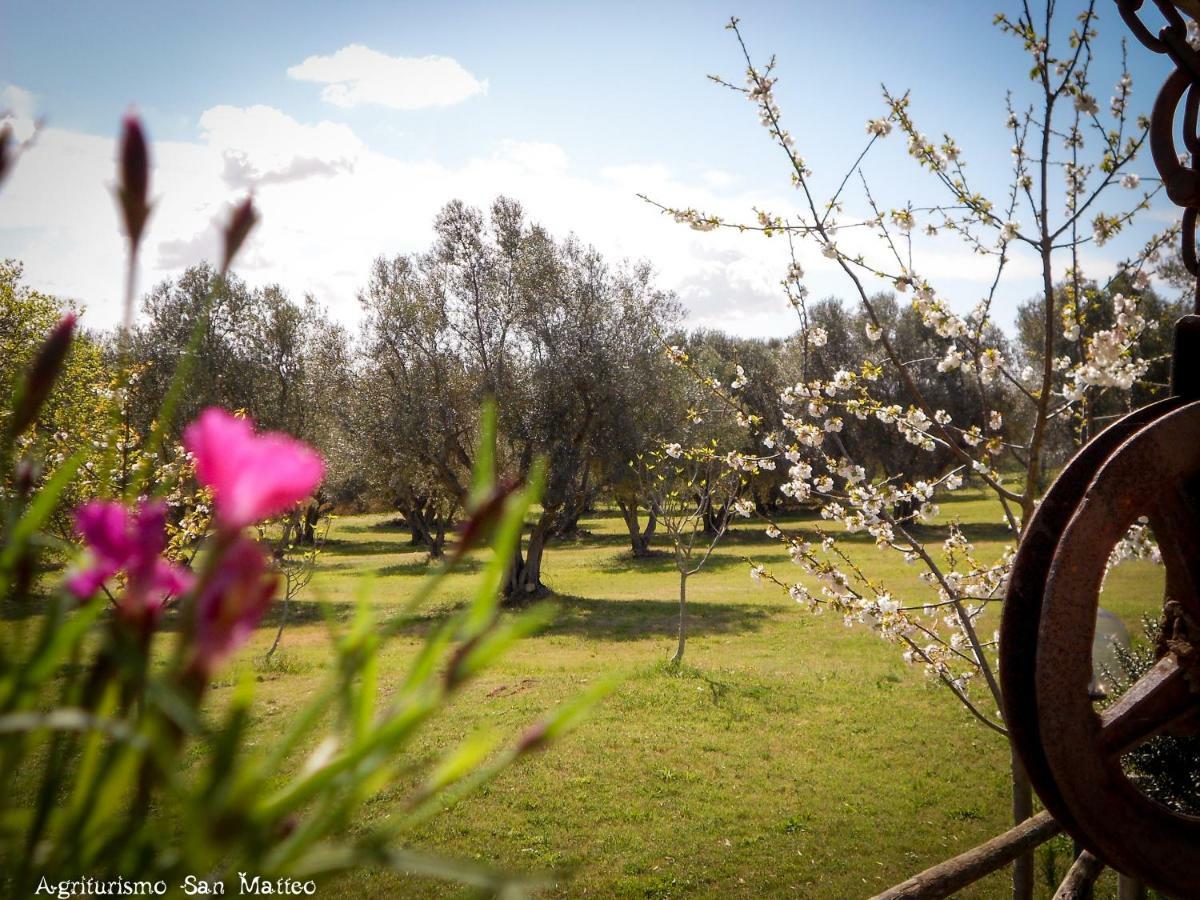 Agriturismo San Matteo Tarquinia Eksteriør billede