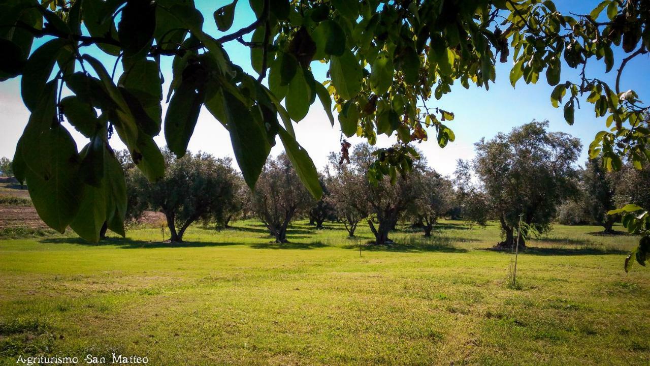 Agriturismo San Matteo Tarquinia Eksteriør billede