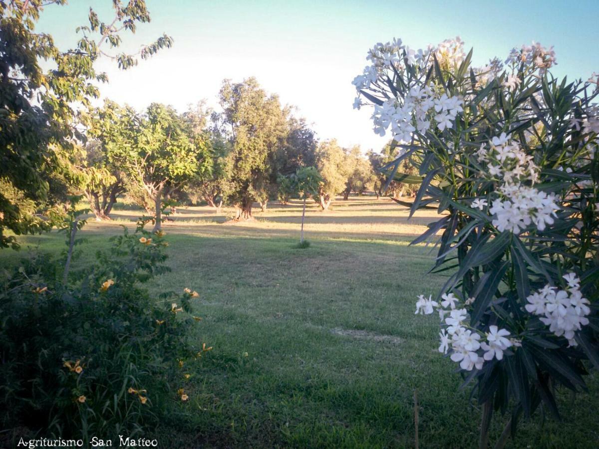 Agriturismo San Matteo Tarquinia Eksteriør billede