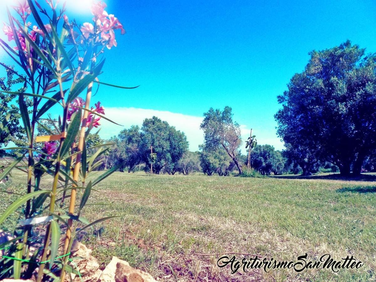 Agriturismo San Matteo Tarquinia Eksteriør billede