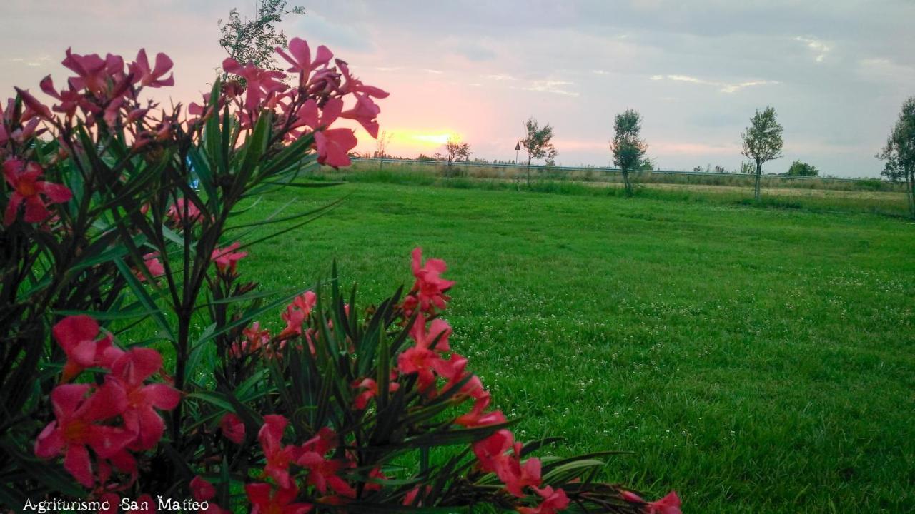 Agriturismo San Matteo Tarquinia Eksteriør billede